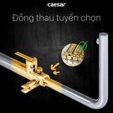 Vòi sen gắn bồn tắm Caesar AS489C nóng lạnh