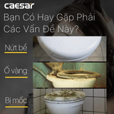 Nắp Bàn Cầu Caesar M232 Rơi Êm