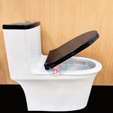 Bồn cầu 1 khối Capila CPL117 nắp đen