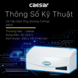 Xả tiểu Caesar A623 cảm ứng từ