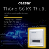 Xả tiểu Caesar A637 cảm ứng từ
