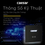 Xả tiểu Caesar A654 cảm ứng từ âm tường