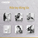 Vòi lavabo chậu rửa mặt Caesar B111C nước lạnh