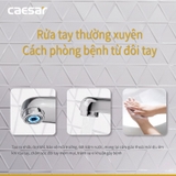 Vòi lavabo chậu rửa mặt Caesar B111C nước lạnh