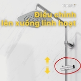 Thân cây sen tắm đứng nóng lạnh Caesar BS125