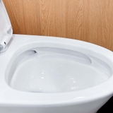 Bồn cầu 1 khối Ryoni TO 802P + Lavabo L102
