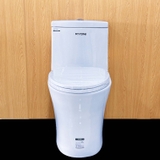Bồn cầu 1 khối Ryoni TO 802P + Lavabo L102