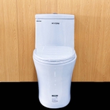 Bồn cầu 1 khối Ryoni 802P + Lavabo L102