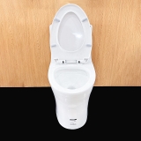 Bồn cầu 1 khối Ryoni TO 803P + Lavabo L102