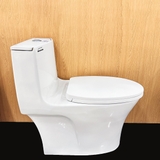 Bồn cầu 1 khối Ryoni TO 803P + Lavabo L102