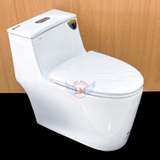 Bồn cầu 1 khối Capila CPL116