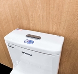 Bồn cầu 1 khối Ryoni TO 817P