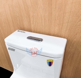 Bồn cầu 1 khối Capila CPL117