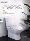 Bồn cầu 2 khối Caesar CD1320