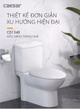 Bồn cầu 2 khối Caesar CD1340