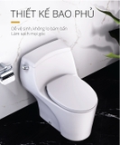 Bồn cầu 1 khối Caesar CD1353F nắp rửa cơ TAF060