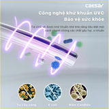 Bồn Cầu 1 khối CAESAR C1353F Nắp Rửa Điện Tử TAF610H