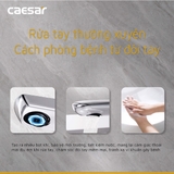 Vòi lavabo chậu rửa mặt Caesar b492CP/CU nóng lạnh