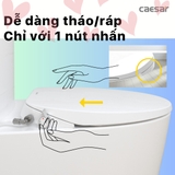 Nắp Bồn Cầu Rửa Cơ Caesar TAF060 Đa Năng