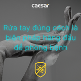 Hộp xà phòng nước đơn gắn tường Caesar Q831