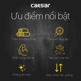 Cây sen tắm Caesar S648C nóng lạnh