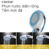 Tay sen Caesar SH335