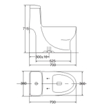 Bồn cầu 1 khối Viglacera V38M tặng kèm xịt vệ sinh VG826