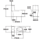 Bồn Cầu American Standard VF-2530SW kết hợp nắp rửa cơ M4A839