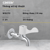 Vòi gắn tường Caesar W027C