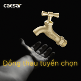 Vòi gắn tường Caesar W034/035