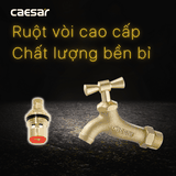 Vòi gắn tường Caesar W034/035