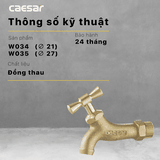 Vòi gắn tường Caesar W034/035