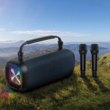 Loa Wiwu Kèm Míc Thunder Wireless Speaker P17