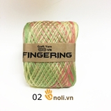 Sợi cotton bóng Fingering loang