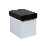 Hộp Nhựa Danpla Có Nắp Đựng Đồ Tiện Lợi