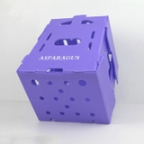 Hộp Nhựa Danpla Đựng Nông Sản