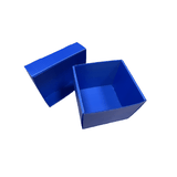 Hộp Nhựa Danpla Mini Có Nắp Rời