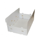 Hộp Nhựa PP Đựng Nho Tươi