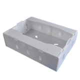 Hộp Nhựa PP Đựng Nho Tươi