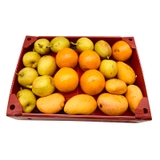 Khay Nhựa Danpla Đựng Rau Củ