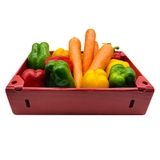 Khay Nhựa Danpla Đựng Rau Củ