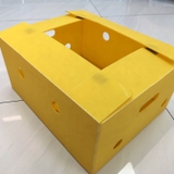 Thùng Danpla Lớn Đựng Nông Sản