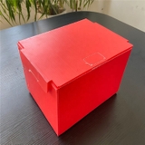 Thùng Nhựa Danpla Có Nắp Màu Đỏ