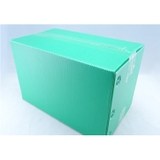 Thùng Nhựa Danpla Có Nắp Màu Xanh Lá Cây (Nhiều size)