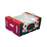 Thùng Nhựa Danpla Đựng Hoa Quả