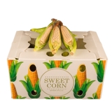 Thùng Nhựa Danpla Đựng Ngô