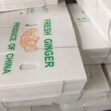 Thùng Nhựa Danpla Đựng Nông Sản Tươi