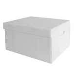 Thùng Nhựa Danpla Lưu Trữ Tài Liệu A3 Màu Trắng