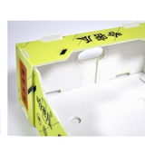 Thùng Nhựa PP Đựng Dưa Lưới