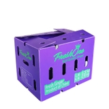 Thùng Nhựa PP Danpla Đựng Rau Củ Quả Tốt